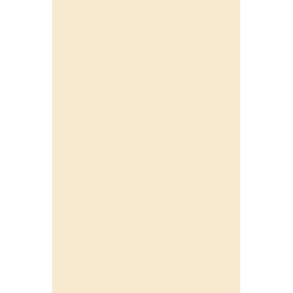 HPL COUNTERTOP 828 BEIGE